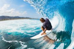 开云APP-跨越太平洋的独角兽对决，切特闪耀NBA，胡金秋主宰CBA