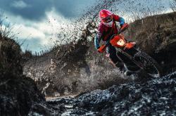 开云体育平台APP-蒙特卡洛的狮子，纽约的风