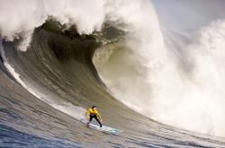 开云下载-稳定，是这个时代被低估的奇迹