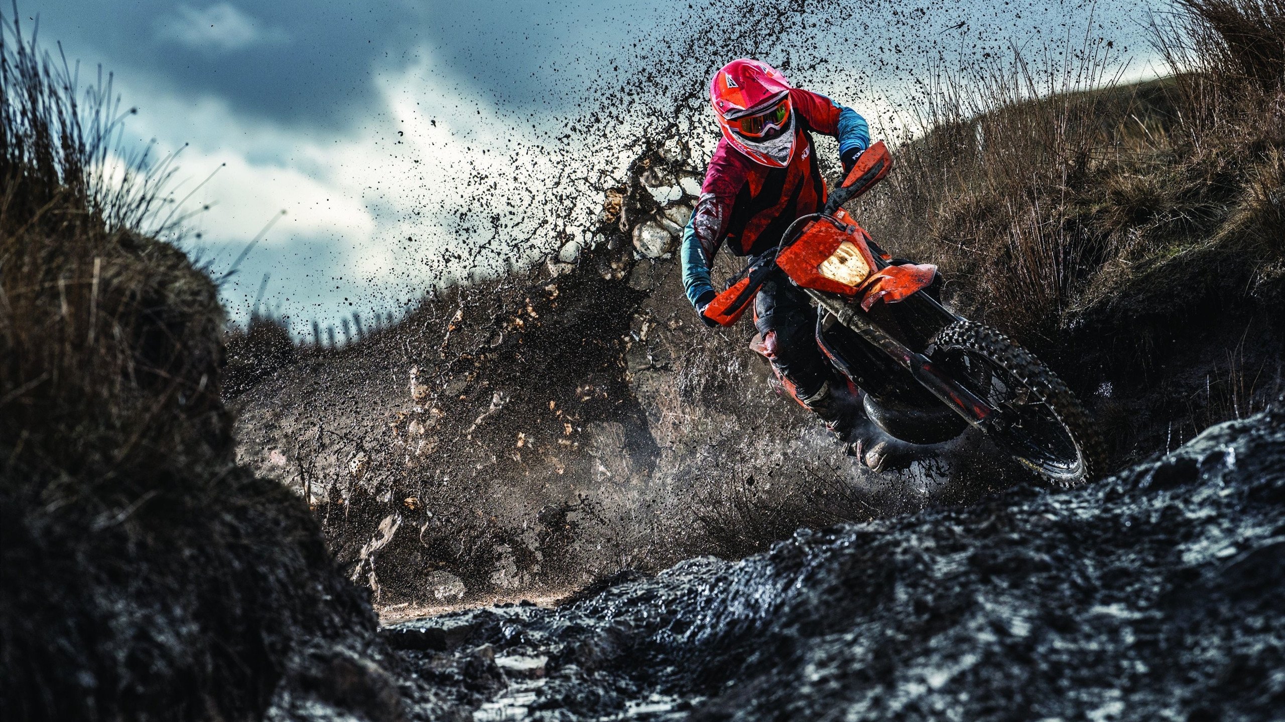 蒙特卡洛的狮子,纽约的风