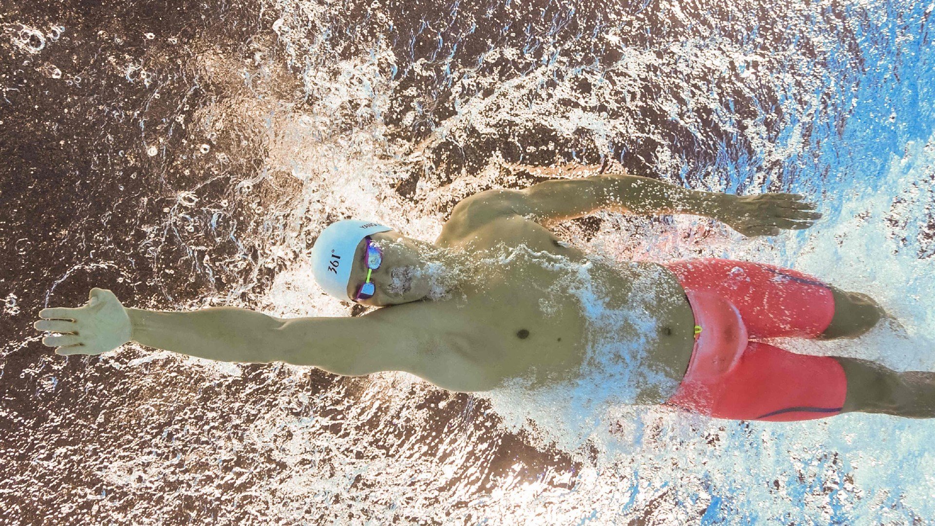 绿茵与球台的和谐交响，葡萄牙奏凯，张本智和燃情